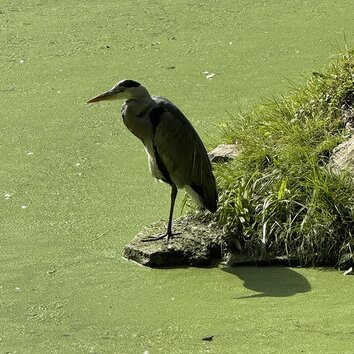 IMG_0376.jpg