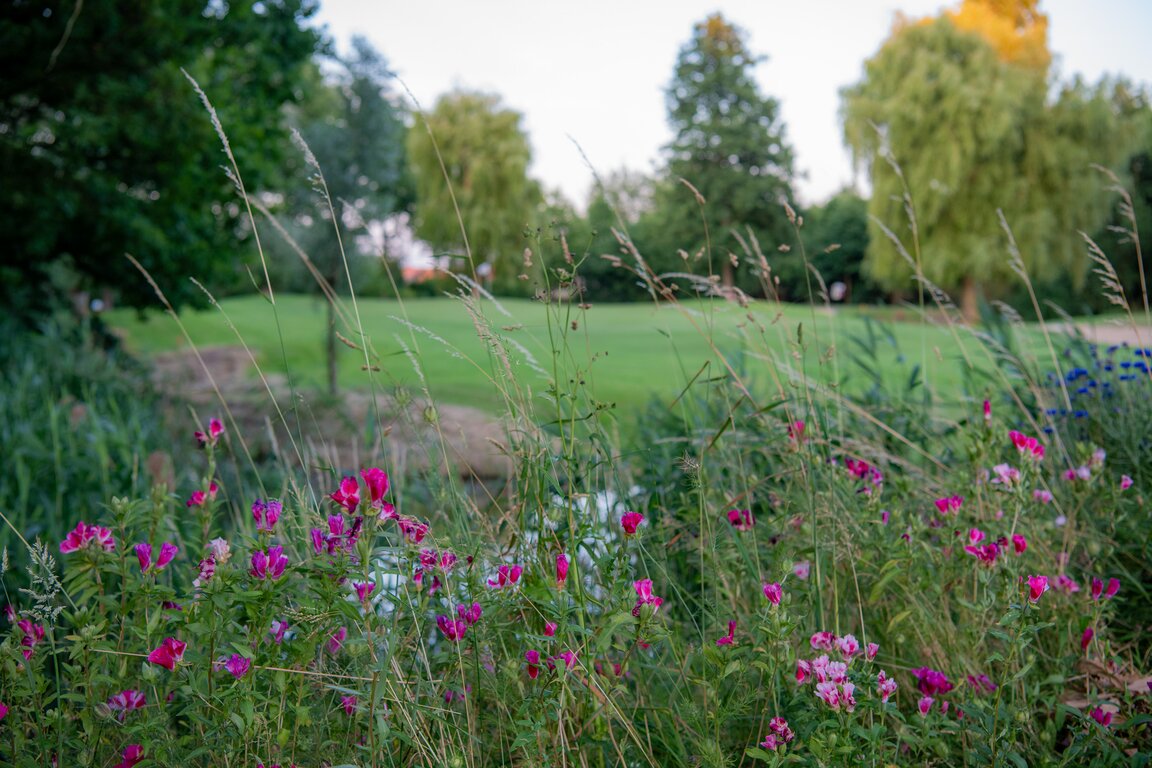 Hole-4-sfeerfoto-7414.jpg