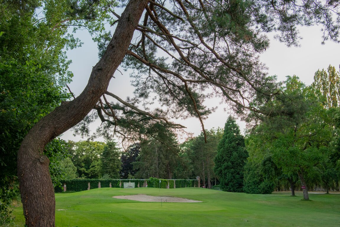 Hole-5-sfeerfoto-7426.jpg