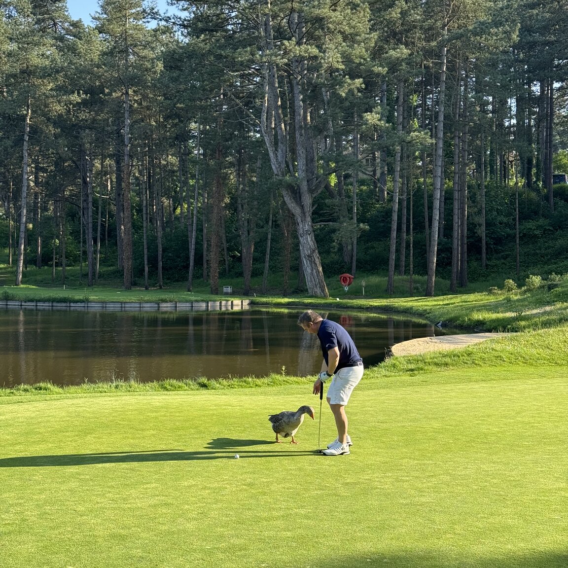 EB-golftrip-2024-Frankrijk-IMG_3471.jpg
